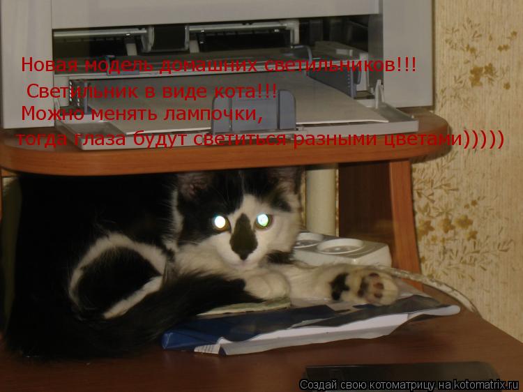 Котоматрица: Новая модель домашних светильников!!! Светильник в виде кота!!! Можно менять лампочки,  тогда глаза будут светиться разными цветами)))))