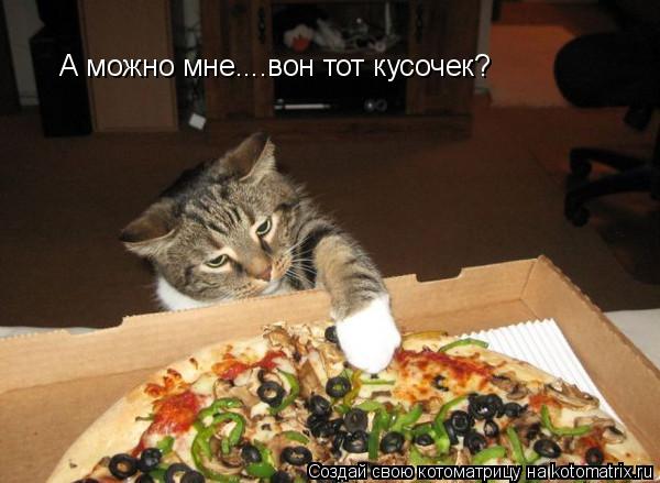 Котоматрица: А можно мне....вон тот кусочек?