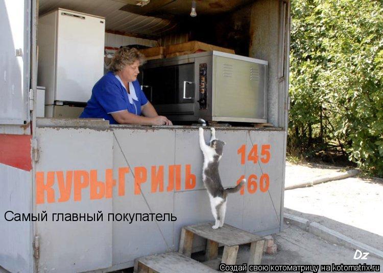 Котоматрица: Самый главный покупатель