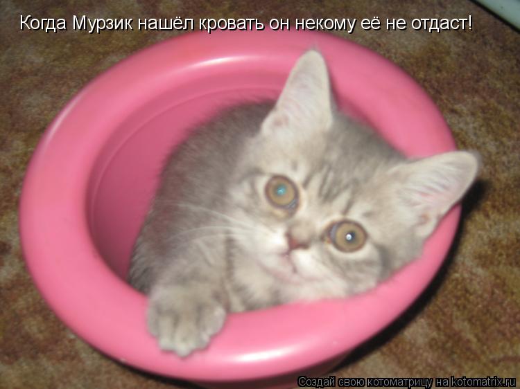 Котоматрица: Когда Мурзик нашёл кровать он некому её не отдаст!