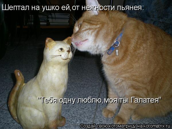 Шептал на ушко ей,от нежности пьянея: "Тебя одну люблю,моя ты Галатея"... Котоматрица: Шептал на ушко ей,от нежности пьянея: "Тебя одну люблю,моя ты Галатея"