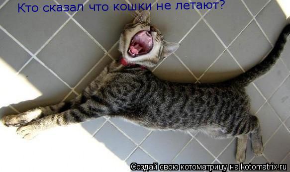 Котоматрица: Кто сказал что кошки не летают?