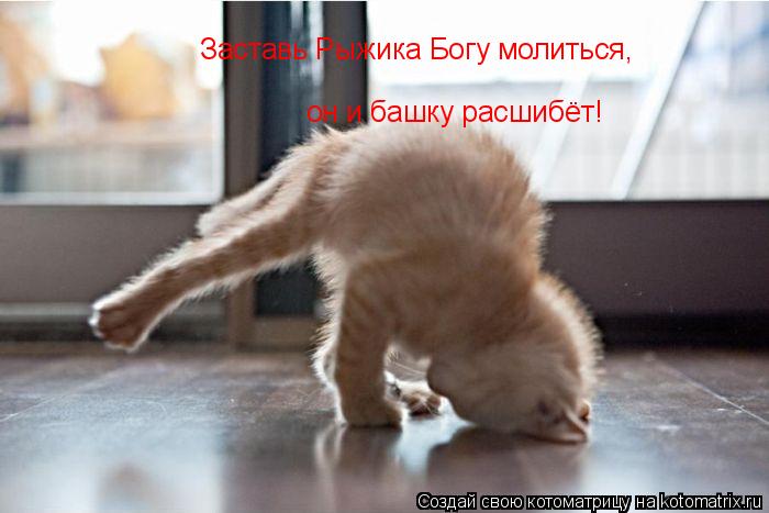 Котоматрица: Заставь Рыжика Богу молиться, он и башку расшибёт!