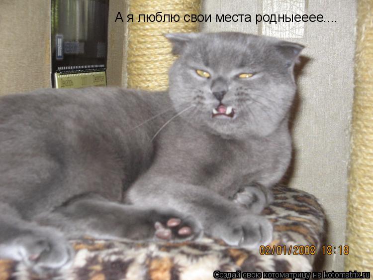 А я люблю свои места родныееее....... Котоматрица: А я люблю свои места родныееее....