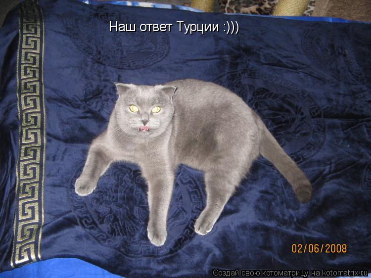 Наш ответ Турции :)))... Котоматрица: Наш ответ Турции :)))