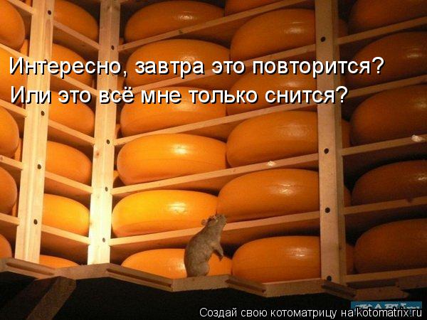 Интересно, завтра это повторится? Или это всё мне только снится?... Котоматрица: Интересно, завтра это повторится? Или это всё мне только снится?