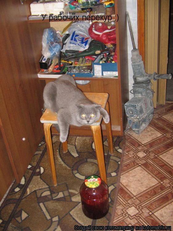 У рабочих перекур :)... Котоматрица: У рабочих перекур :)