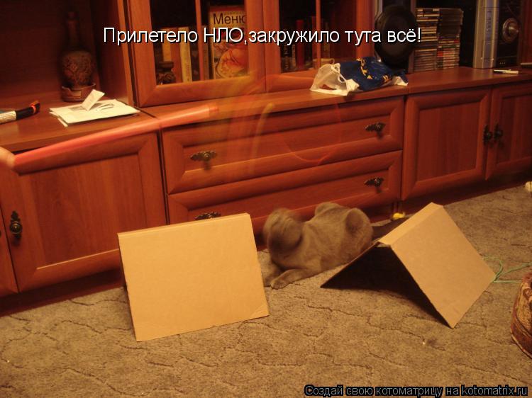 Прилетело НЛО,закружило тута всё!... Котоматрица: Прилетело НЛО,закружило тута всё!