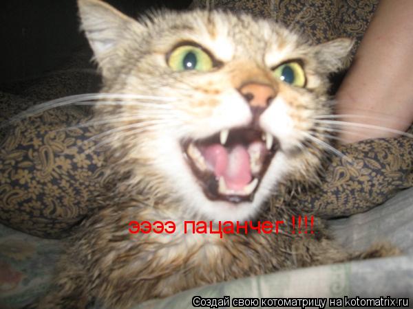 ээээ пацанчег !!!!... Котоматрица: ээээ пацанчег !!!!