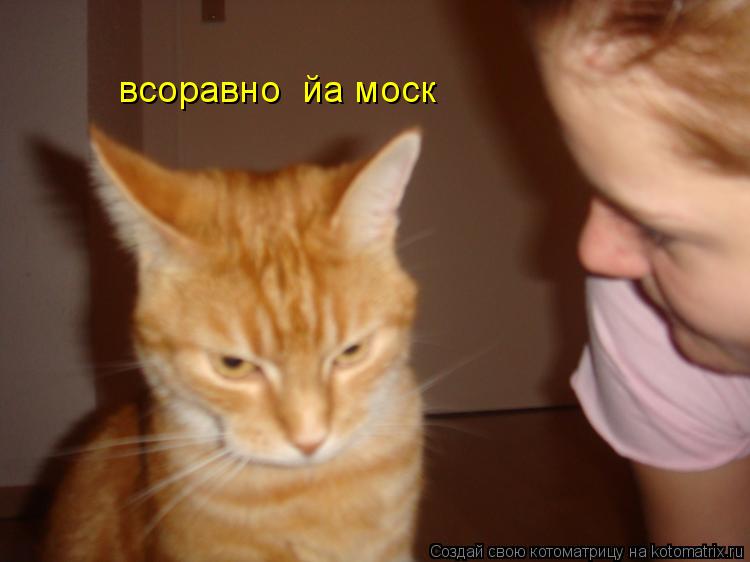 всоравно йа моск... Котоматрица: всоравно йа моск