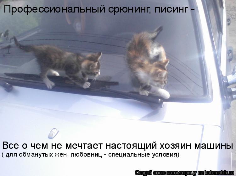 Профессиональный срюнинг, писинг - Все о чем не мечтает настоящий хозяин машины ( для обманутых жен, ... Котоматрица: Профессиональный срюнинг, писинг - Все о чем не мечтает настоящий хозяин машины ( для обманутых жен, любовниц - специальные условия)