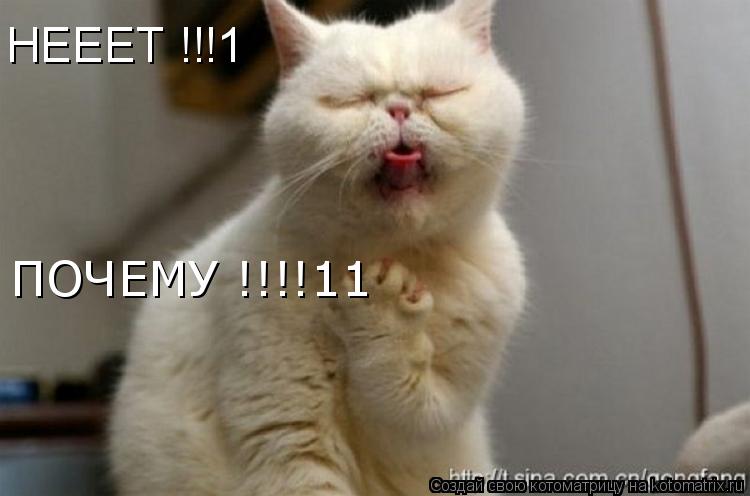 НЕЕЕТ !!!1 ПОЧЕМУ !!!!11... Котоматрица: НЕЕЕТ !!!1 ПОЧЕМУ !!!!11