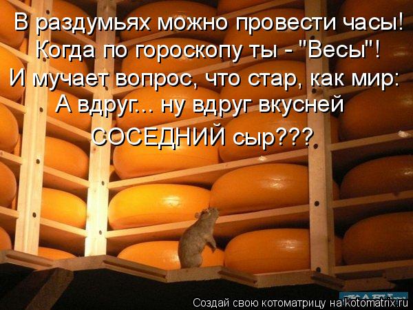 В раздумьях можно провести часы! Когда по гороскопу ты - "Весы"! И мучает вопрос, что стар, как мир: ... Котоматрица: В раздумьях можно провести часы! Когда по гороскопу ты - "Весы"! И мучает вопрос, что стар, как мир: А вдруг... ну вдруг вкусней СОСЕДНИЙ сыр???