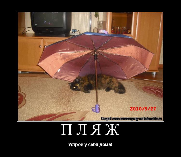 Пляж Устрой у себя дома!... Котоматрица: Пляж Устрой у себя дома!