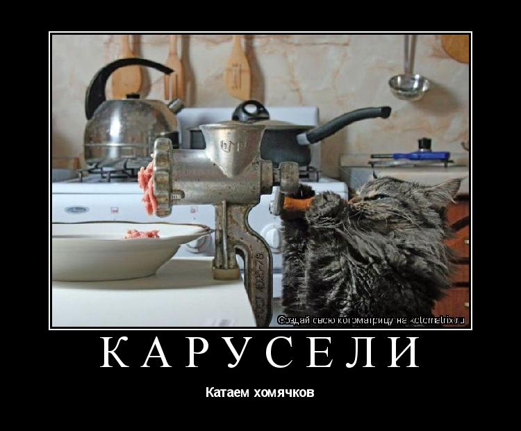 Карусели Катаем хомячков... Котоматрица: Карусели Катаем хомячков