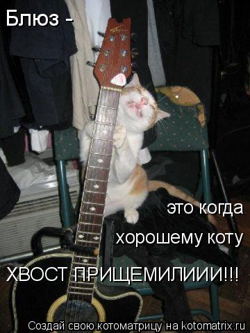 Блюз - хорошему коту это когда ХВОСТ ПРИЩЕМИЛИИИ!!!... Котоматрица: Блюз - хорошему коту это когда ХВОСТ ПРИЩЕМИЛИИИ!!!