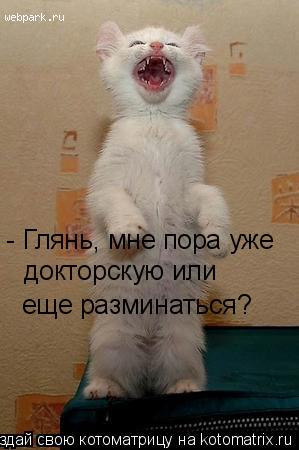 - Глянь, мне пора уже докторскую или еще разминаться?... Котоматрица: - Глянь, мне пора уже докторскую или еще разминаться?