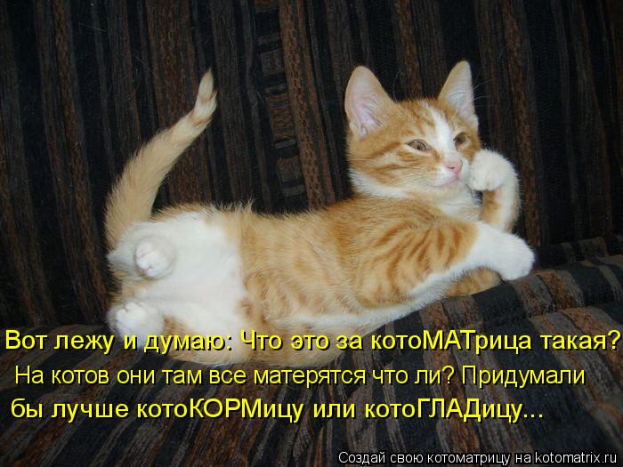 Котоматрица: Вот лежу и думаю: Что это за котоМАТрица такая? На котов они там все матерятся что ли? Придумали бы лучше котоКОРМицу или котоГЛАДицу...