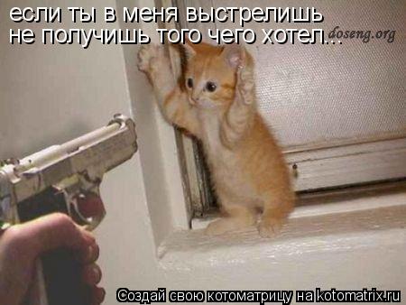 если ты в меня выстрелишь не получишь того чего хотел...... Котоматрица: если ты в меня выстрелишь не получишь того чего хотел...