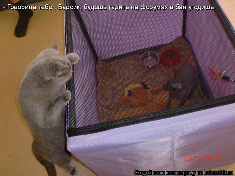 - Говорила тебе , Барсик, будешь гадить на форумах в бан угодишь... Котоматрица: - Говорила тебе , Барсик, будешь гадить на форумах в бан угодишь