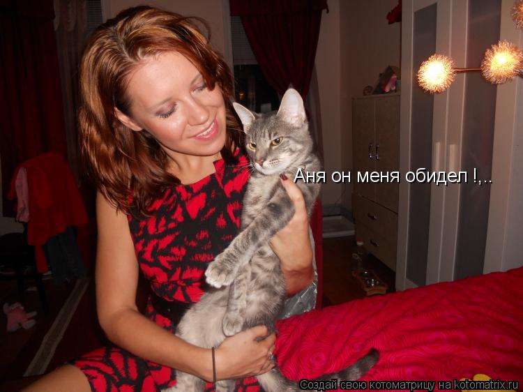 Аня он меня обидел !,..... Котоматрица: Аня он меня обидел !,..