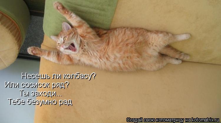 Несешь ли колбасу? Или сосисок ряд? Ты заходи... Тебе безумно рад... Котоматрица: Несешь ли колбасу? Или сосисок ряд? Ты заходи... Тебе безумно рад
