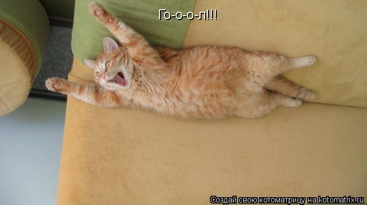 Го-о-о-л!!!... Котоматрица: Го-о-о-л!!!