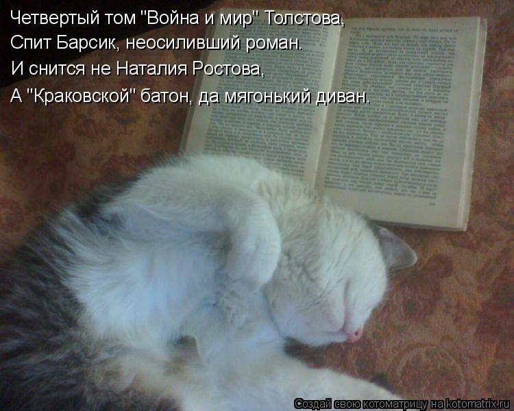 Спит Барсик, неосиливший роман. И снится не Наталия Ростова, Четвертый том "Война и мир" Толстова, А ... Котоматрица: Спит Барсик, неосиливший роман. И снится не Наталия Ростова, Четвертый том "Война и мир" Толстова, А "Краковской" батон, да мягонький диван…