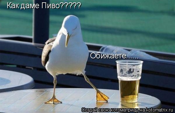 Котоматрица: Как даме Пиво????? Обижаете......