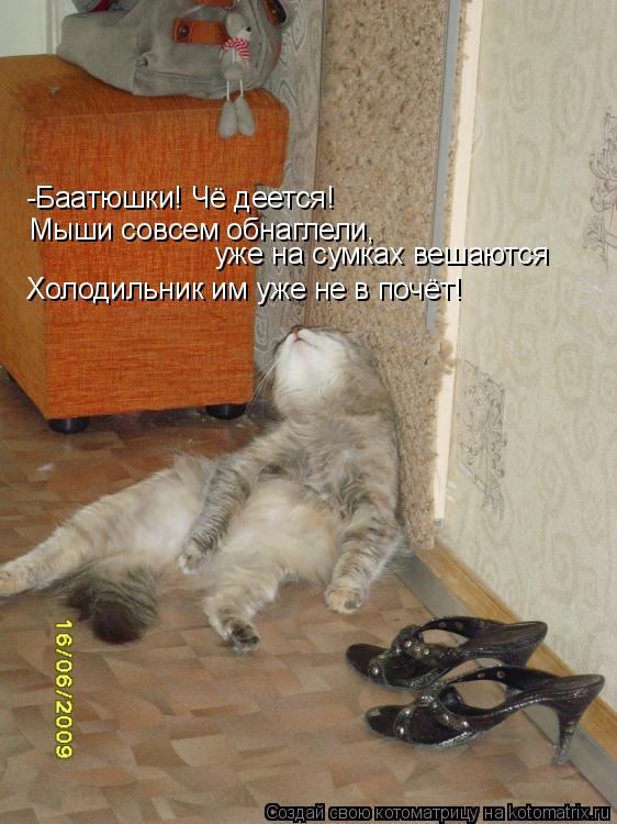 -Баатюшки! Чё деется! Мыши совсем обнаглели, уже на сумках вешаются Холодильник им уже не в почёт!... Котоматрица: -Баатюшки! Чё деется! Мыши совсем обнаглели, уже на сумках вешаются Холодильник им уже не в почёт!