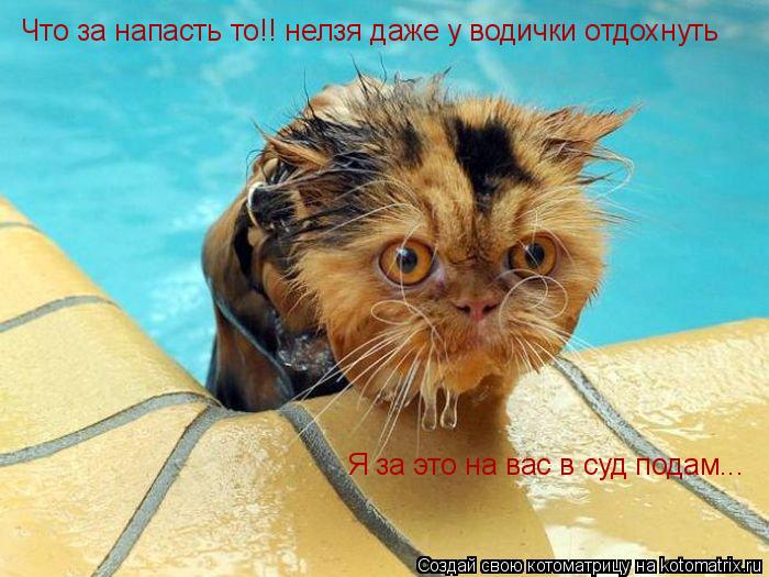 Котоматрица: Я за это на вас в суд подам... Что за напасть то!! нелзя даже у водички отдохнуть
