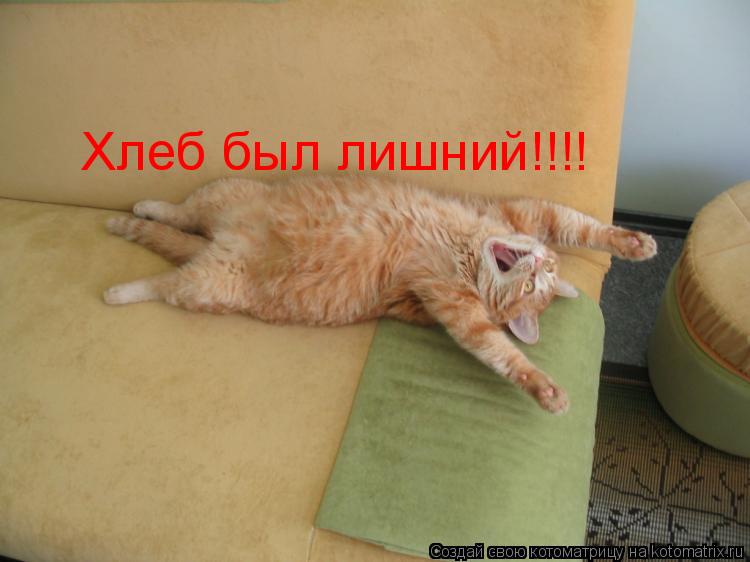 Котоматрица: Хлеб был лишний!!!!