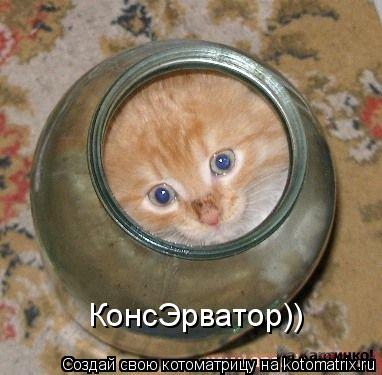 КонсЭрватор))... Котоматрица: КонсЭрватор))
