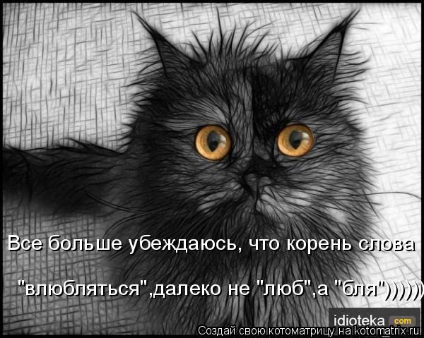 Котоматрица: Все больше убеждаюсь, что корень слова "влюбляться",далеко не "люб",а "бля"))))))