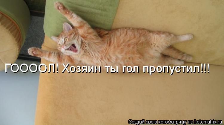 ГООООЛ! Хозяин ты гол пропустил!!!... Котоматрица: ГООООЛ! Хозяин ты гол пропустил!!!