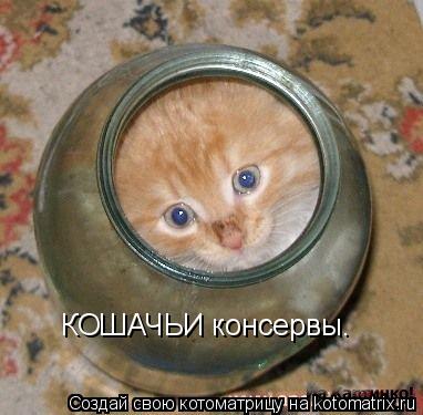 КОШАЧЬИ консервы.... Котоматрица: КОШАЧЬИ консервы.