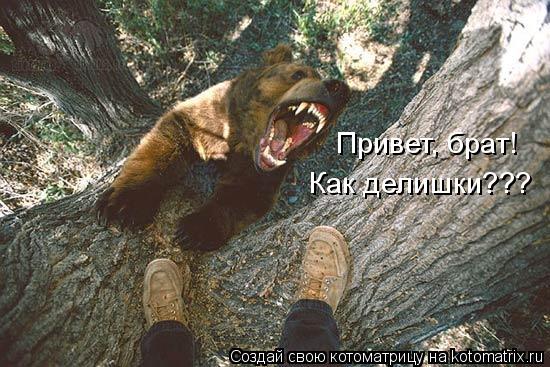 Привет, брат! Как делишки???... Котоматрица: Привет, брат! Как делишки???
