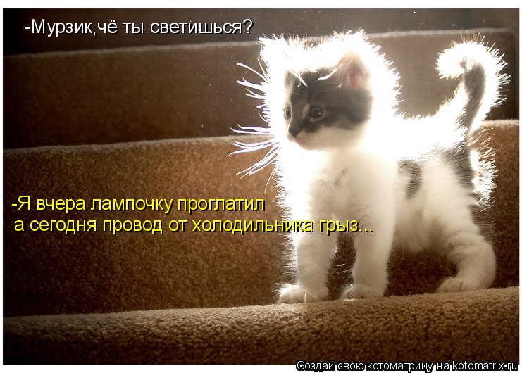 -Мурзик,чё ты светишься? -Я вчера лампочку проглатил а сегодня провод от холодильника грыз...... Котоматрица: -Мурзик,чё ты светишься? -Я вчера лампочку проглатил а сегодня провод от холодильника грыз...
