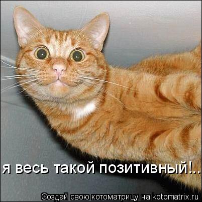 я весь такой позитивный!...... Котоматрица: я весь такой позитивный!...