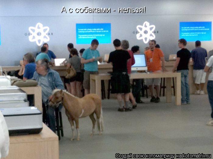 А с собаками - нельзя!... Котоматрица: А с собаками - нельзя!