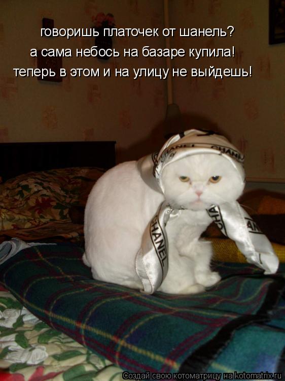 говоришь платочек от шанель? а сама небось на базаре купила! теперь в этом и на улицу не выйдешь!... Котоматрица: говоришь платочек от шанель? а сама небось на базаре купила! теперь в этом и на улицу не выйдешь!