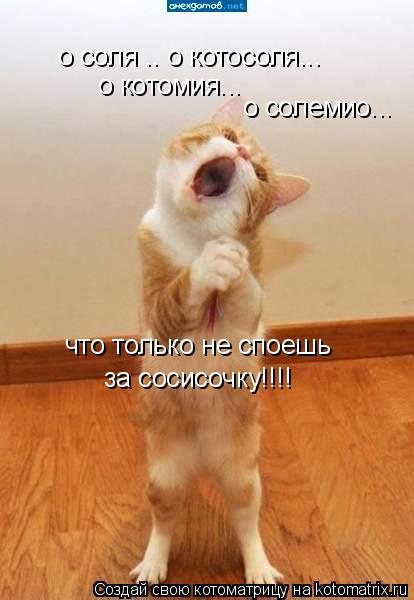 о соля .. о котосоля... о котомия... о солемио... что только не споешь за сосисочку!!!!... Котоматрица: о соля .. о котосоля... о котомия... о солемио... что только не споешь за сосисочку!!!!