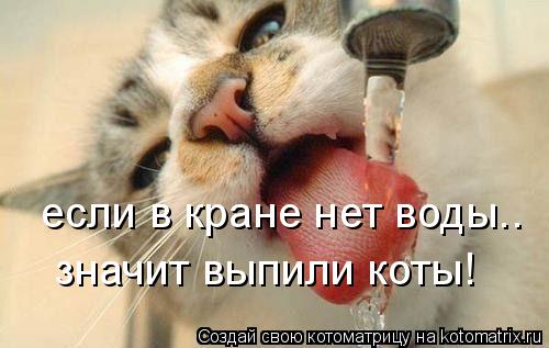 если в кране нет воды.. значит выпили коты!... Котоматрица: если в кране нет воды.. значит выпили коты!