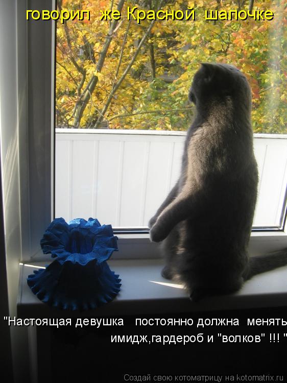 говорил же Красной шапочке "Настоящая девушка постоянно должна менять имидж,гардероб и "волко... Котоматрица: говорил же Красной шапочке "Настоящая девушка постоянно должна менять имидж,гардероб и "волков" !!! "
