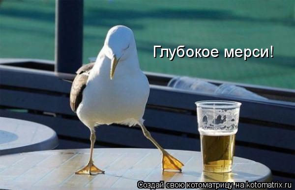 Глубокое мерси!... Котоматрица: Глубокое мерси!