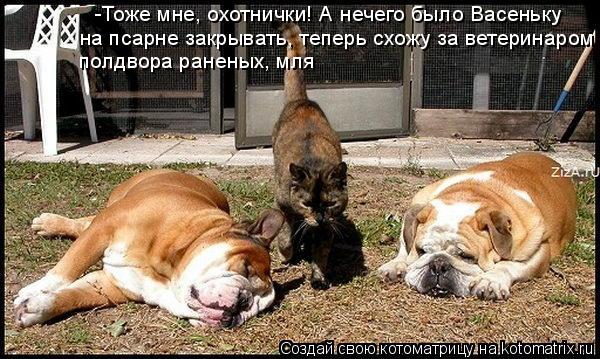 -Тоже мне, охотнички! А нечего было Васеньку на псарне закрывать, теперь схожу за ветеринаром полдвор... Котоматрица: -Тоже мне, охотнички! А нечего было Васеньку на псарне закрывать, теперь схожу за ветеринаром полдвора раненых, мля