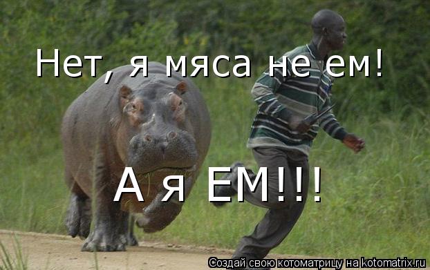Нет, я мяса не ем! А я ЕМ!!!... Котоматрица: Нет, я мяса не ем! А я ЕМ!!!