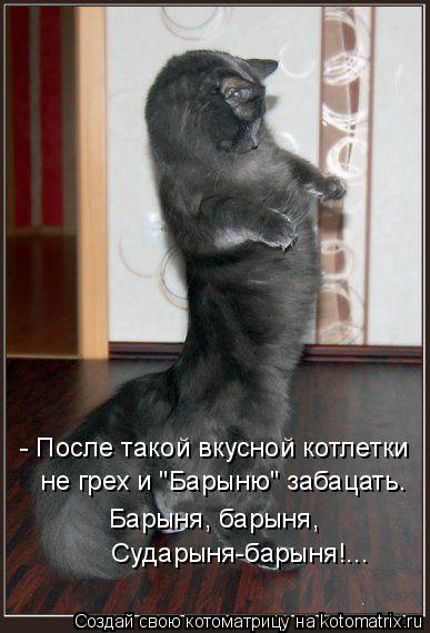 - После такой вкусной котлетки не грех и "Барыню" забацать. Барыня, барыня, Сударыня-барыня!...... Котоматрица: - После такой вкусной котлетки не грех и "Барыню" забацать. Барыня, барыня, Сударыня-барыня!...