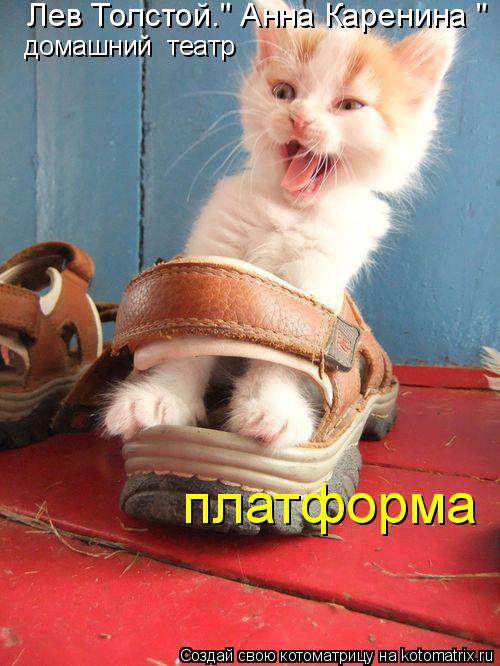 Лев Толстой." Анна Каренина " платформа домашний театр... Котоматрица: Лев Толстой." Анна Каренина " платформа домашний театр