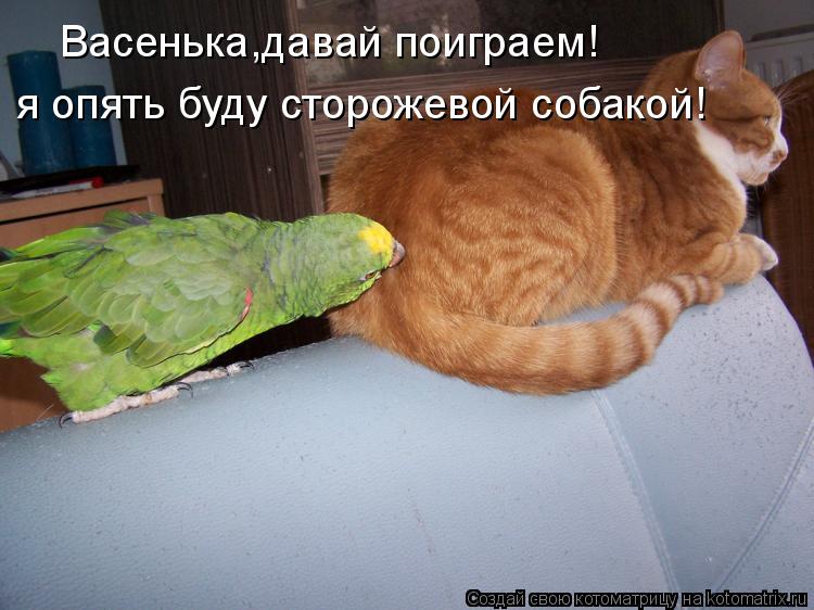 Васенька,давай поиграем! я опять буду сторожевой собакой!... Котоматрица: Васенька,давай поиграем! я опять буду сторожевой собакой!